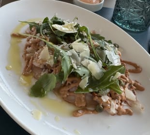 Gastro