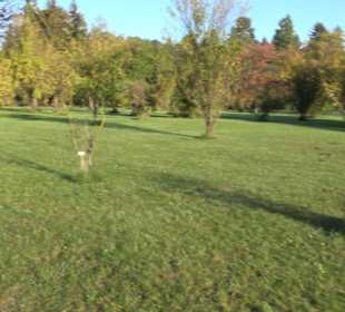 Botanischer Garten
