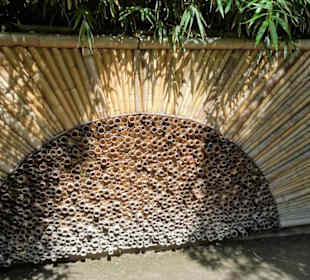 Im Bambushain von Schloss Trauttmansdorff