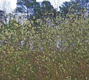 Brombachspeicher gross