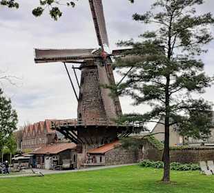 Mit dem Nibelungen Express durch Xanten