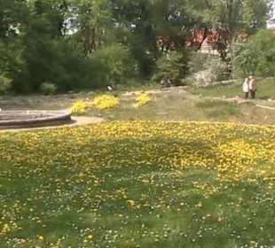 Botanischer Garten