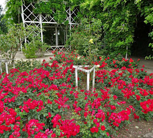 Spaziergang durch den Rosengarten Coburg