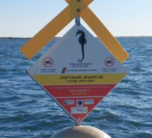 Der Weg ist das Ziel