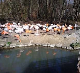 Tierpark Hellabrunn in München