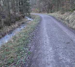 Ochsenweiher Rundweg