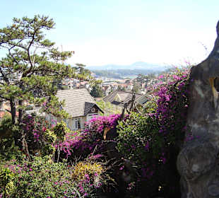 Ausflugsziel "Verrücktes Haus"