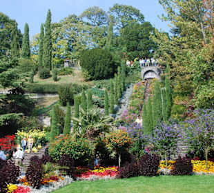 Die Herbstbepflanzung!