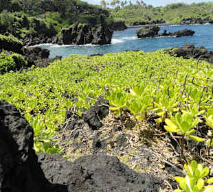 Waianapanapa State Park
