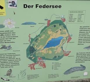 Federseesteg Bad Buchau