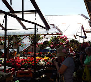 Blumenstände