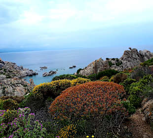 Inselrundfahrt Sardinien