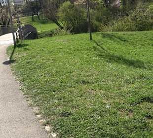 Japangarten Stuttgart