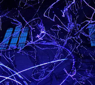 RE.LIGHT Festival Regensburg