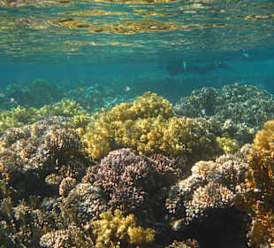 Unterwasserlandschaft