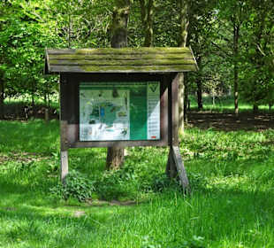 Infotafel im Stadtwald Oldenburg