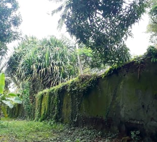 Stadtrundgang Bububu