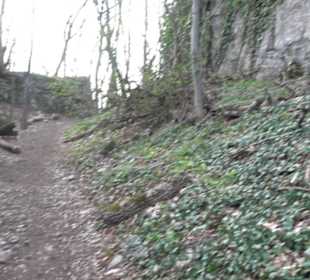 Teckberg