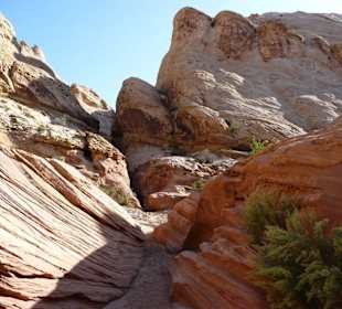 Little Wild Horse Canyon