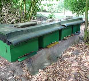 Bienenstöcke im Arboretum