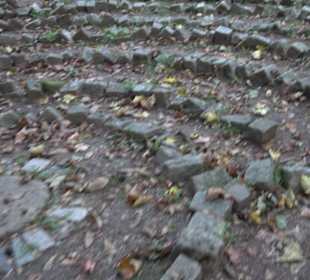 Geistliches Zentrum Kloster Heiligkreuztal Altheim