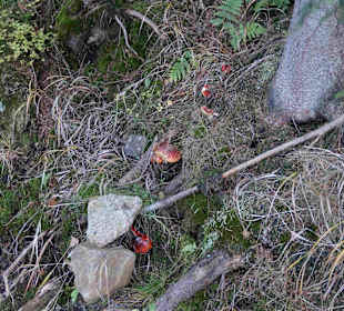 Riesengebirge/Karkonosze