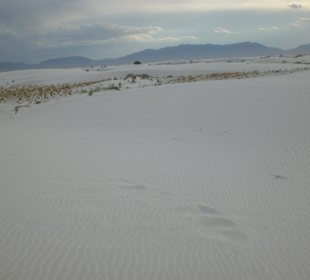 White Sands