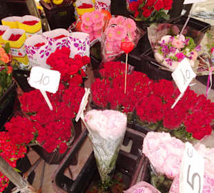 Eindrücke vom Blumenmarkt in Aix-en-Provence