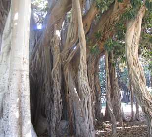 Park Giardino Garibaldi