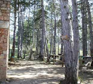 Blick auf dem Übungsparcour