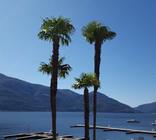 Blick von der Uferpromenade