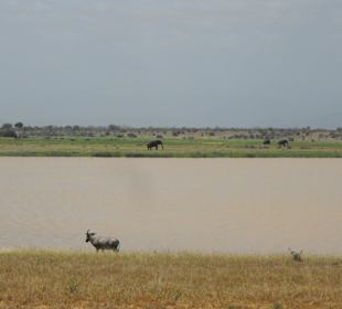 Sehr abwechslungsreich!