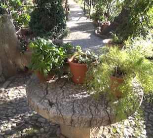 Son Marroig