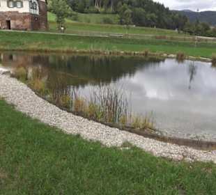 Schlössle von Effringen