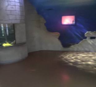  Lego X-Treme - Legoland Atlantis by SEA LIFE