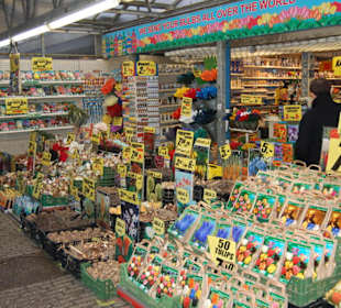 Blumen, Blumen, Blumenzwiebeln