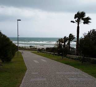 Der Weg zum Strand