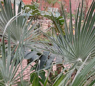 Schmetterlingsgarten