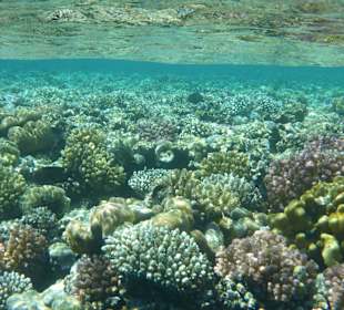 Sharm el Nagga Naturschutzgebiet