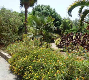 Schöner Garten