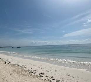 Strand Uroa