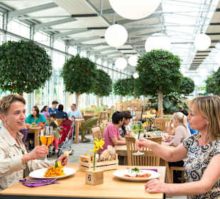 Erlebnisgastronomie Orchidea