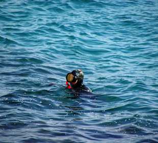 Inspirationen an d.Strandprom.entlang Nov.2010