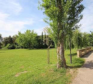 Blick in den Schlosspark