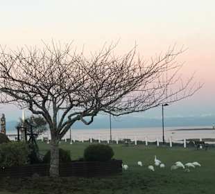 Wandern Port Hardy