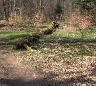Geologischer Lehrpfad Kirnbachtal