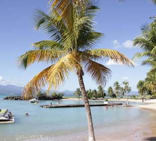 Stadtstrand Guadeloupe Plage de bas du Fort