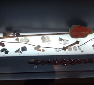 Museum Natur und Mensch