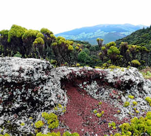 Inselrundfahrt Faial