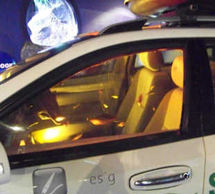 Fische in einem Auto